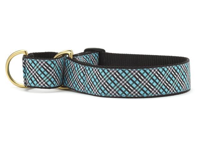 Aqua plaid Martingale collar for sight hound dogs