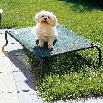 Cool-A-Roo Waterproof Outdoor Dog Cot – OfficialDogHouse