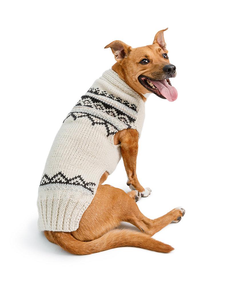 chilly dog cream dog sweater