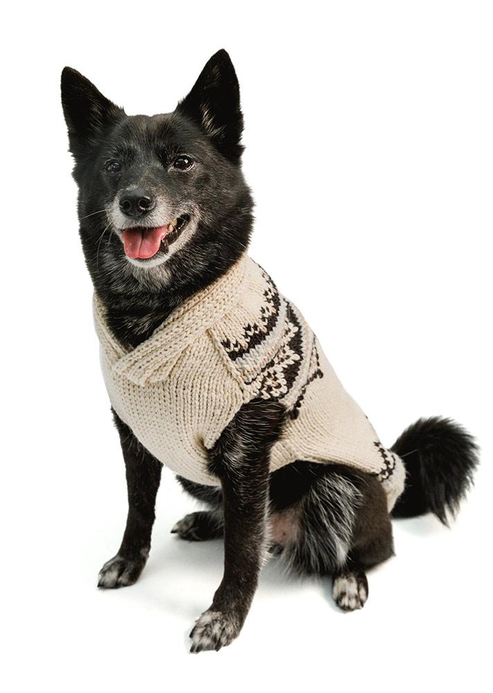 Cream dog sweater