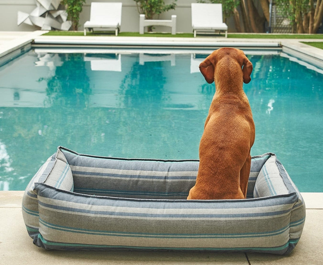 designer outdoor dog bed at  pool side