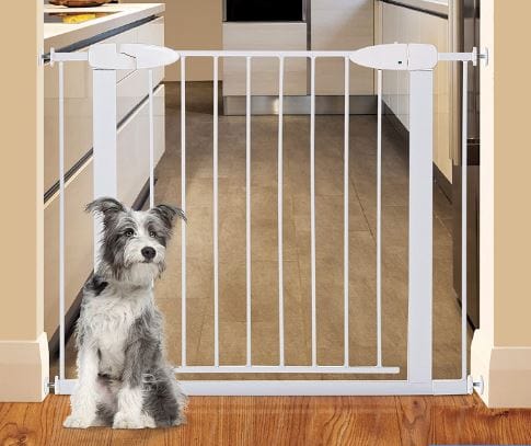 Boston Steel indoor pet-gate-white-Tee-Zed