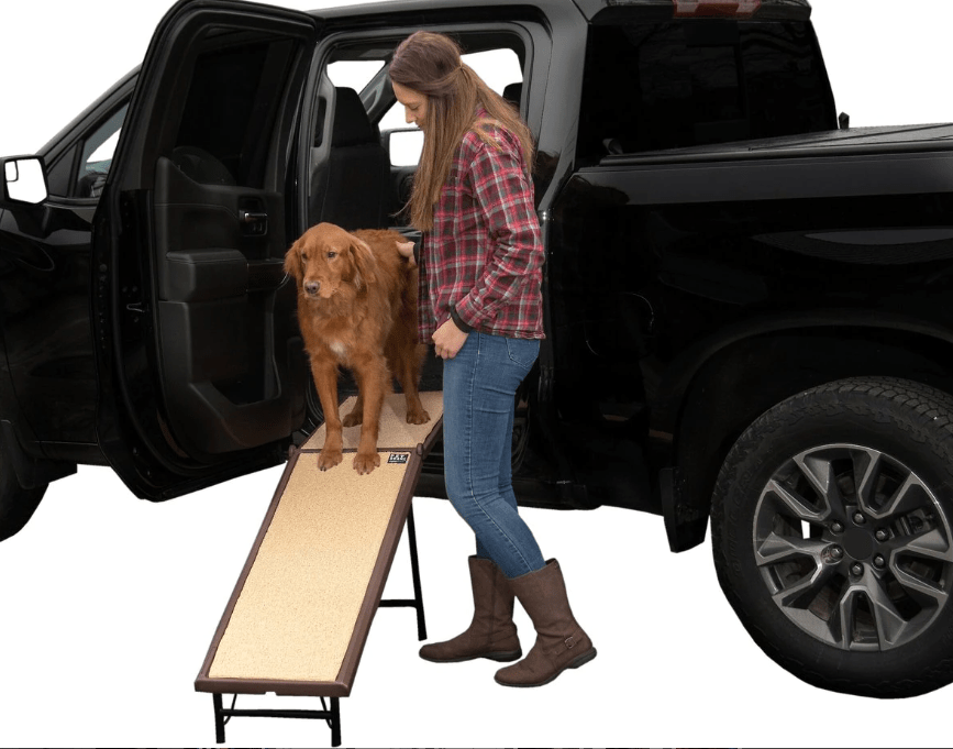 large-dog-truck-ramp-brown long