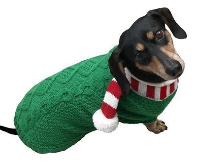 green knit dog sweater with red white scarf