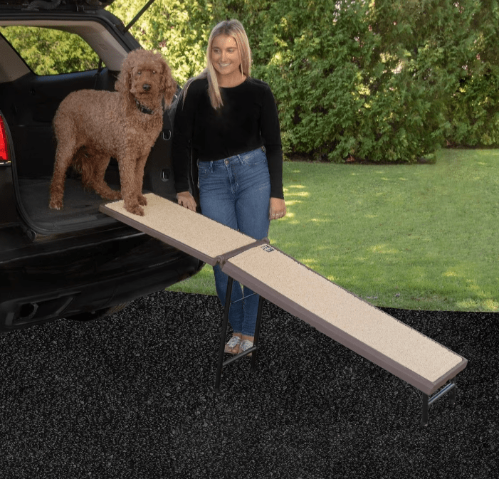 long dog vehicle ramp