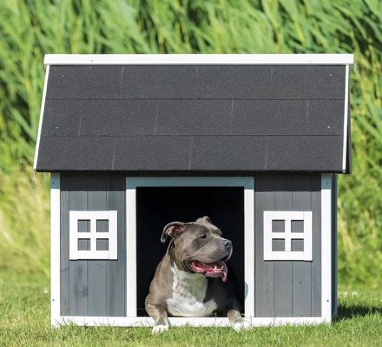 Gray Dog House w Shingle roof