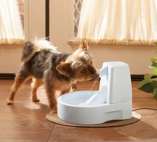 Dinkwell pet fountain holds .4 gallons and purifies waterhalf a 