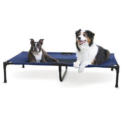 Blue Extra large Cot Pet bed
