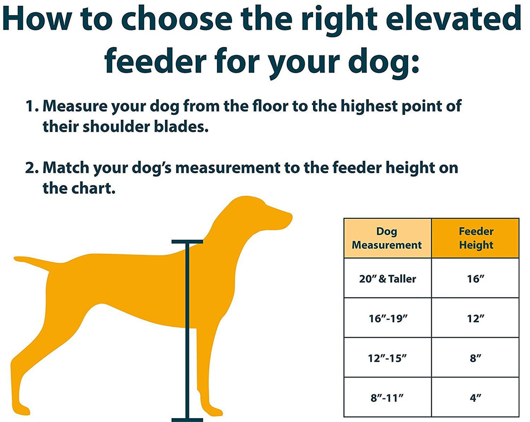 Adjustable Height 5 Quart Dog Feeder – OfficialDogHouse