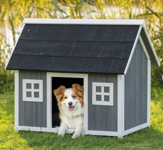 Gray dog house-wood medium
