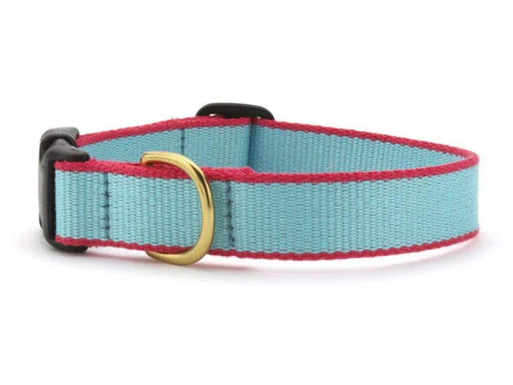 aqua and coral trim dog collar with brass ring