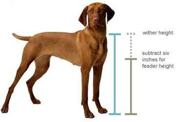 Dog Feeder height guide diagram