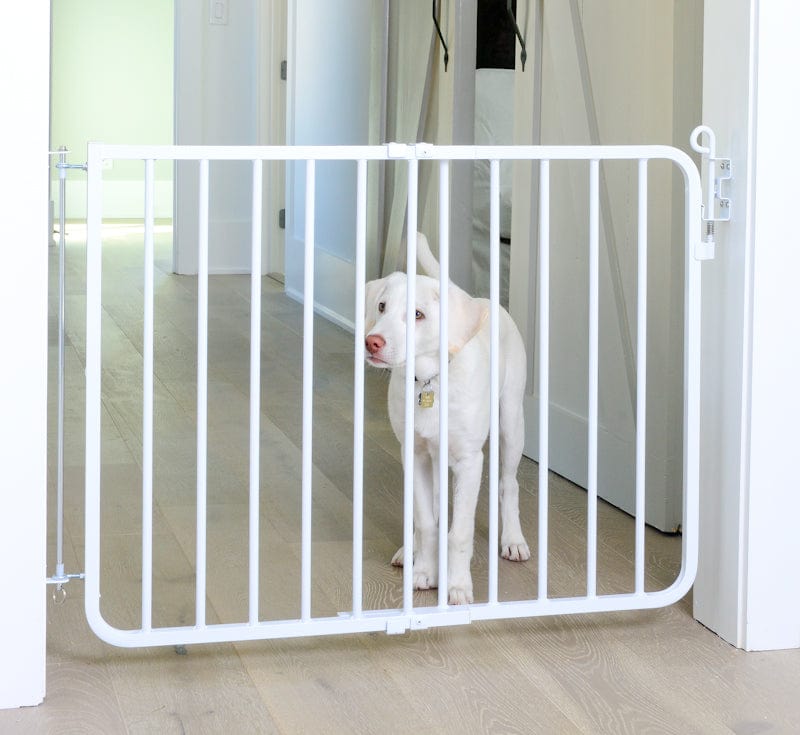 indoor metal dog gate -white