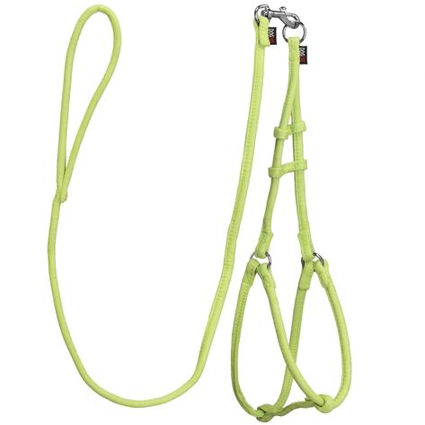 lime-green-leash-harness-combo