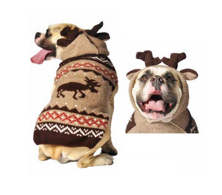 dog-hoodie-moose-design-with-antlers