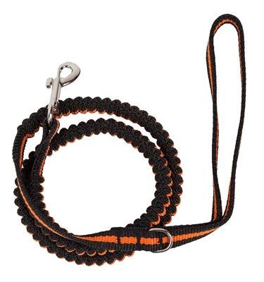 orange shock absorbing dog leash