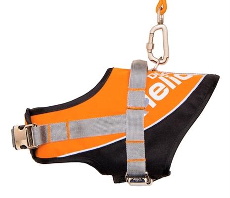 dog-harness-orange