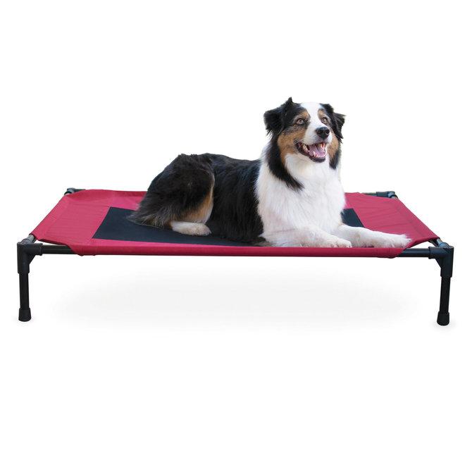 dog cot-raised dog bed black frame with red bed