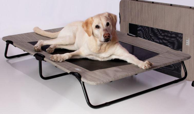Elevated outdoor dog bed-cot-gray