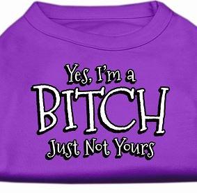 large I'm a Bitch dog shirt -purple