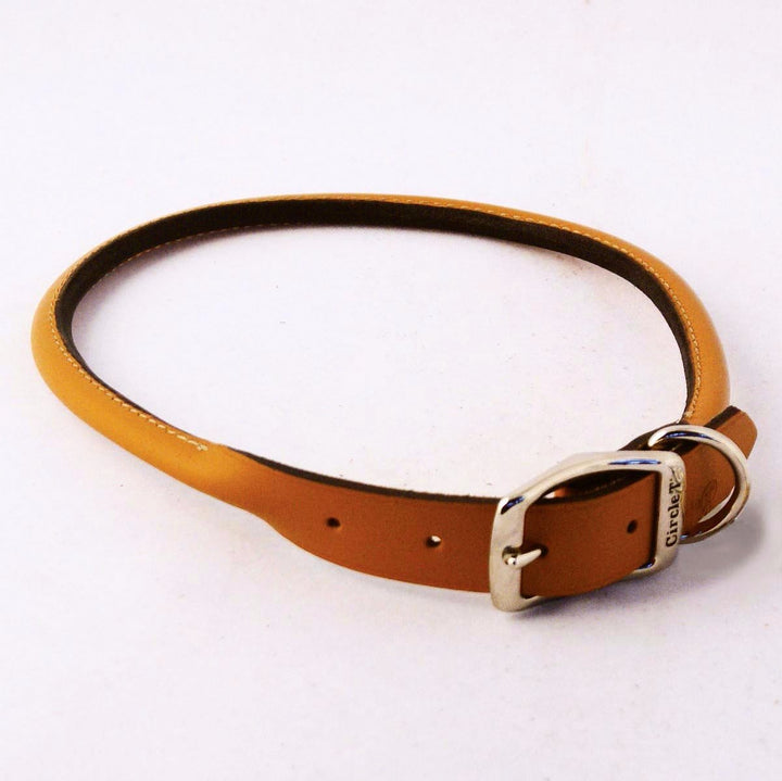 Circle T Rounded Leather Dog Collar - Tan