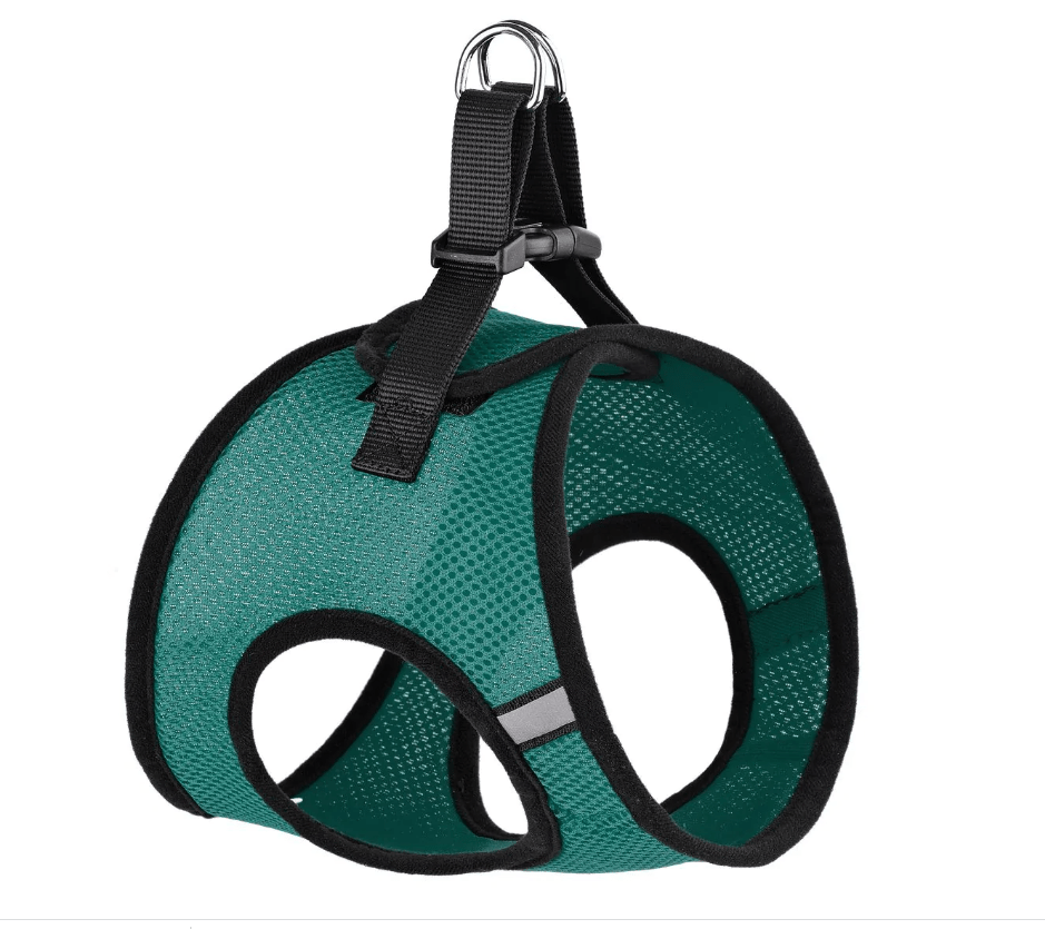 teal mesh dog harness