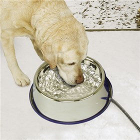 Heated Pet Water Bowl Prevents Freezing