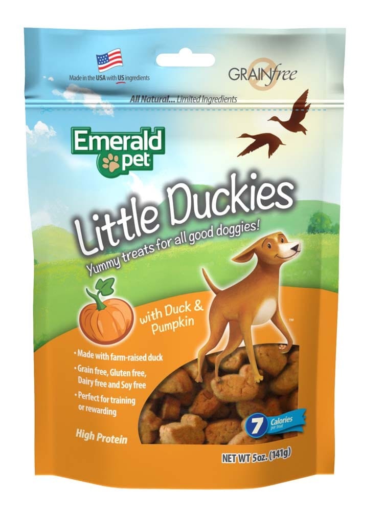 pumpkin dog treats