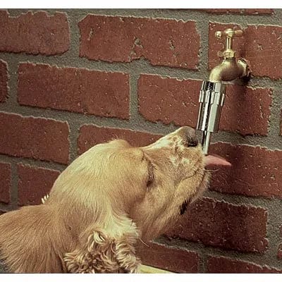 pet water dispenser